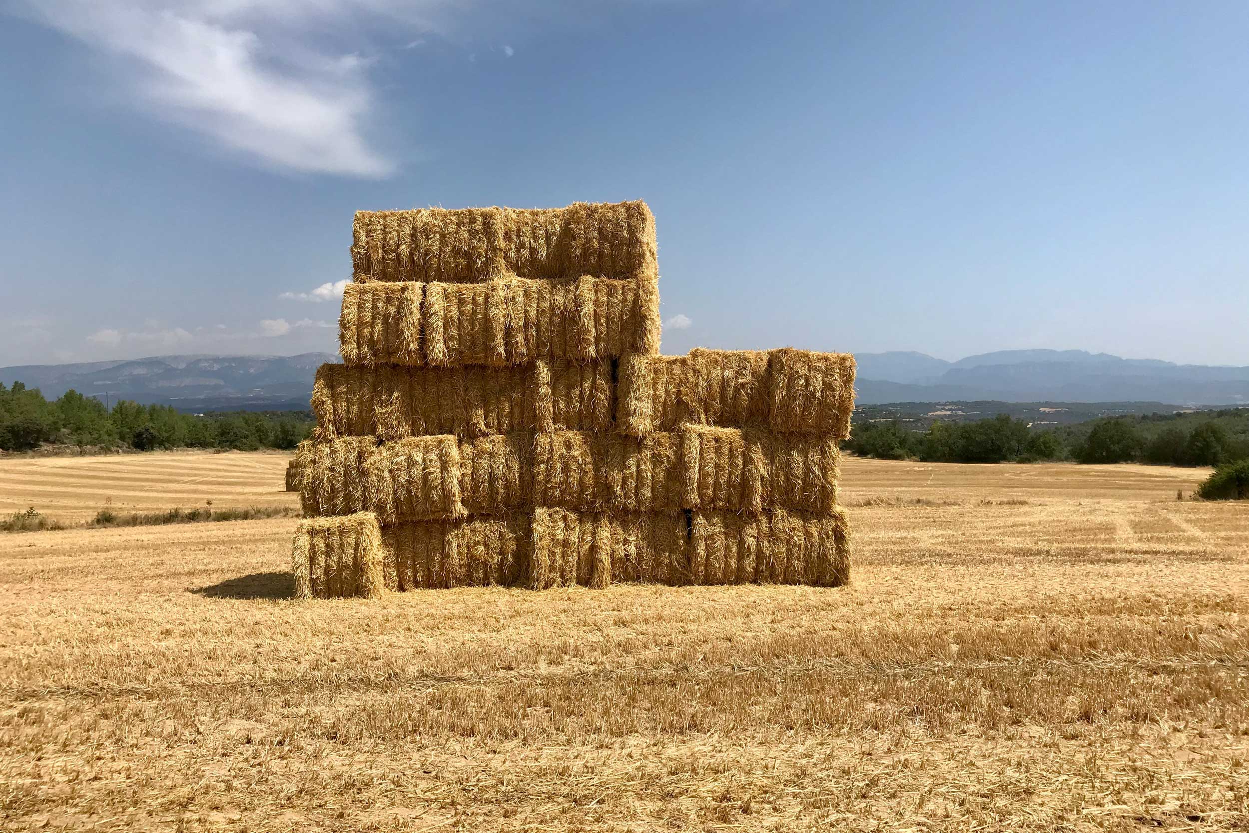 Bales-de-balla-al-MIracle-01