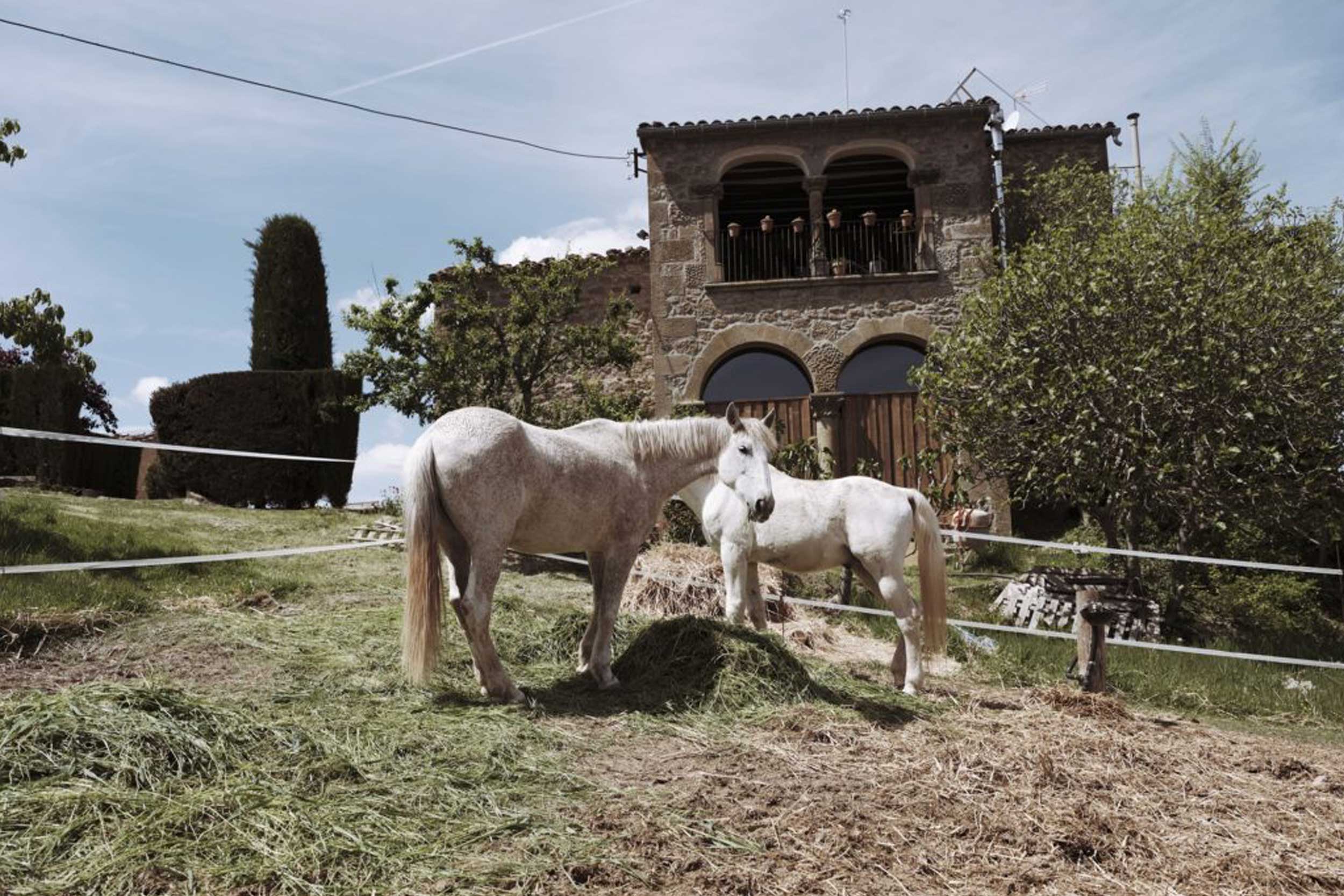 Territori-de-Masies-Celler-Masia-Tonicoll-03