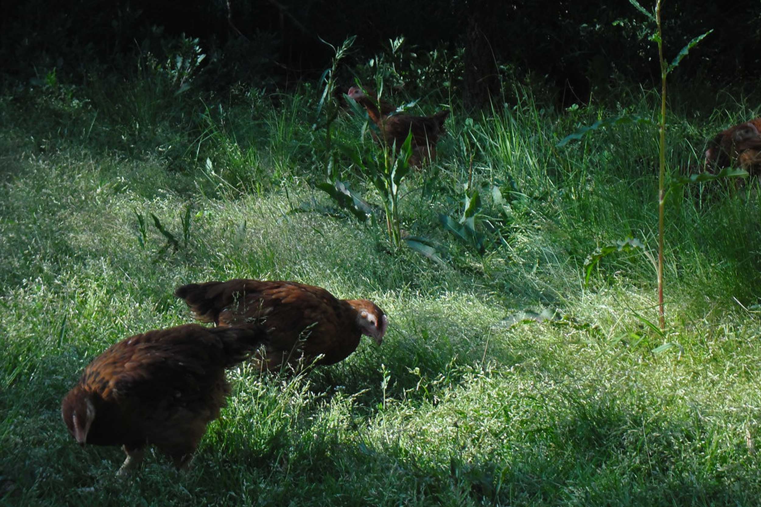 Territori-de-Masies-Moli-de-Bonsfills-02