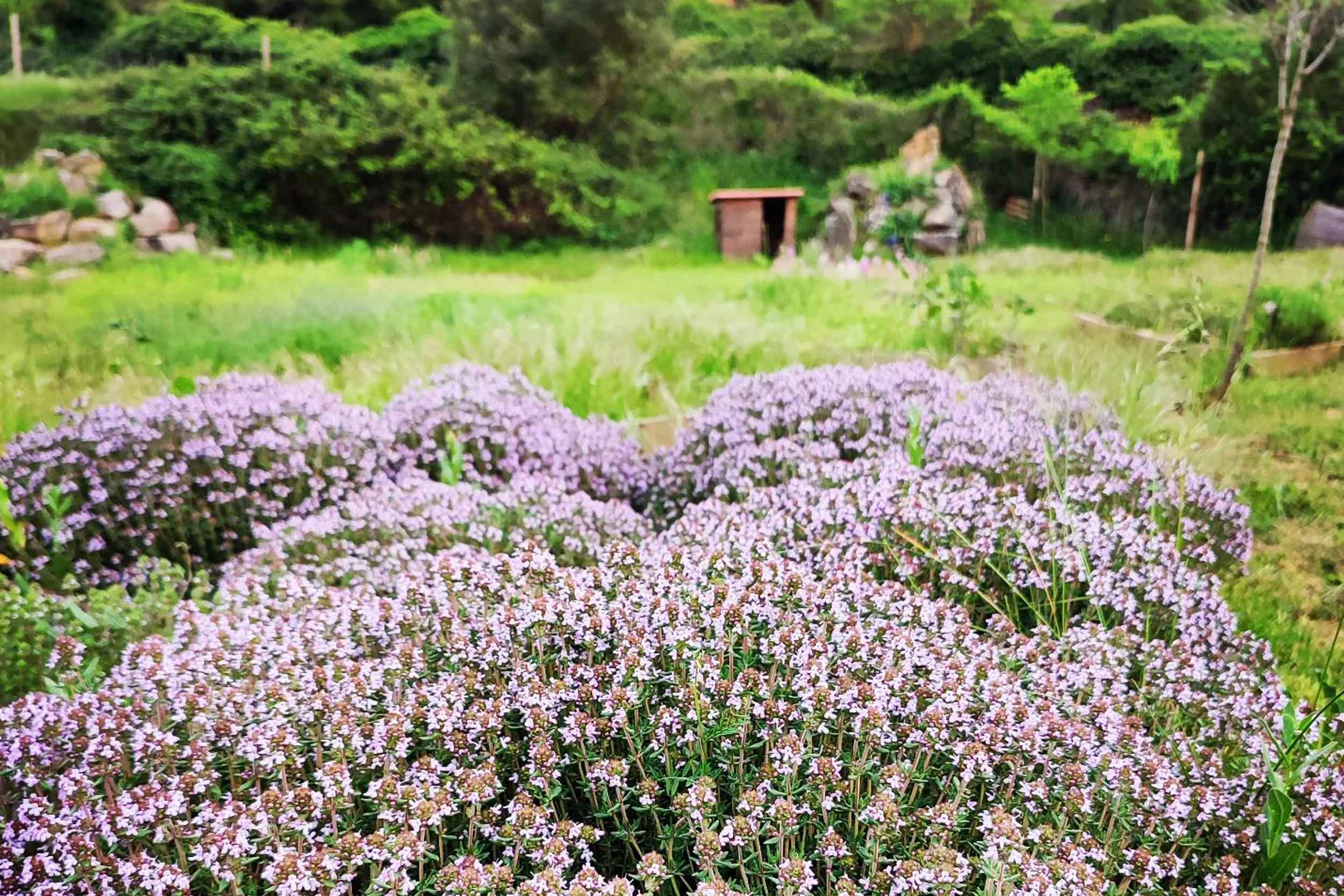 Territori-de-Masies-Parc-de-les-Olors-de-Claret-02