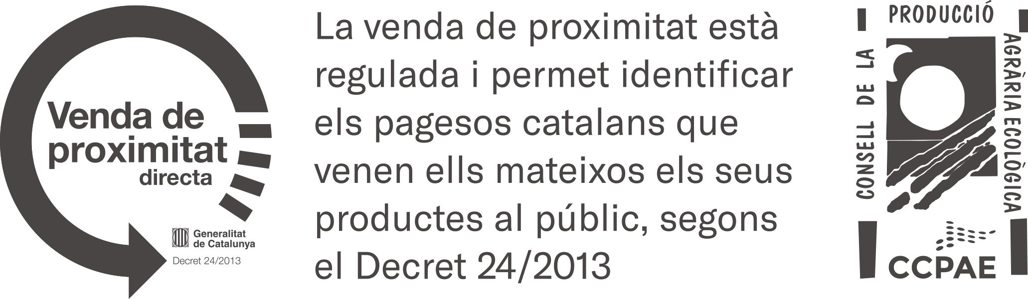 VP-CCPAE
